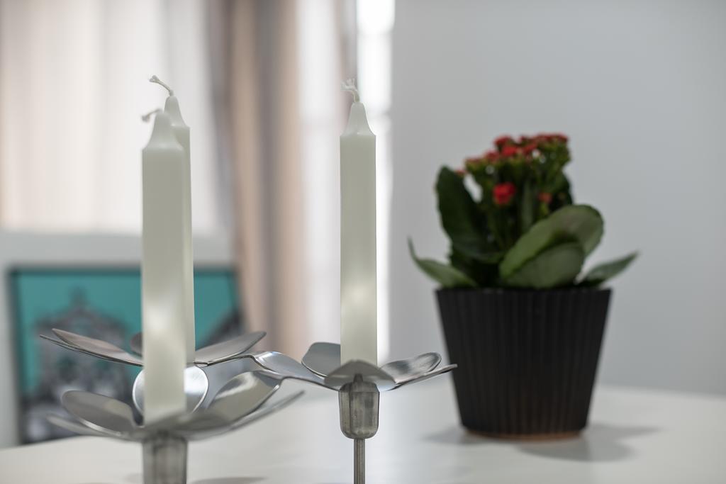 Apartamentos Turisticos Domus Seleqtia Plaza Mayor Caces 외부 사진